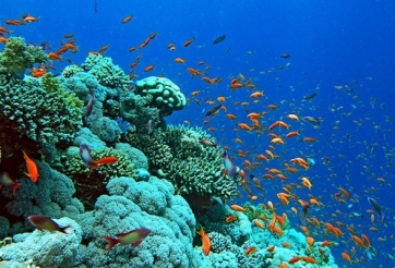 Tour du lịch Đà Nẵng tiết kiệm, ý nghĩa cho một kỳ nghỉ